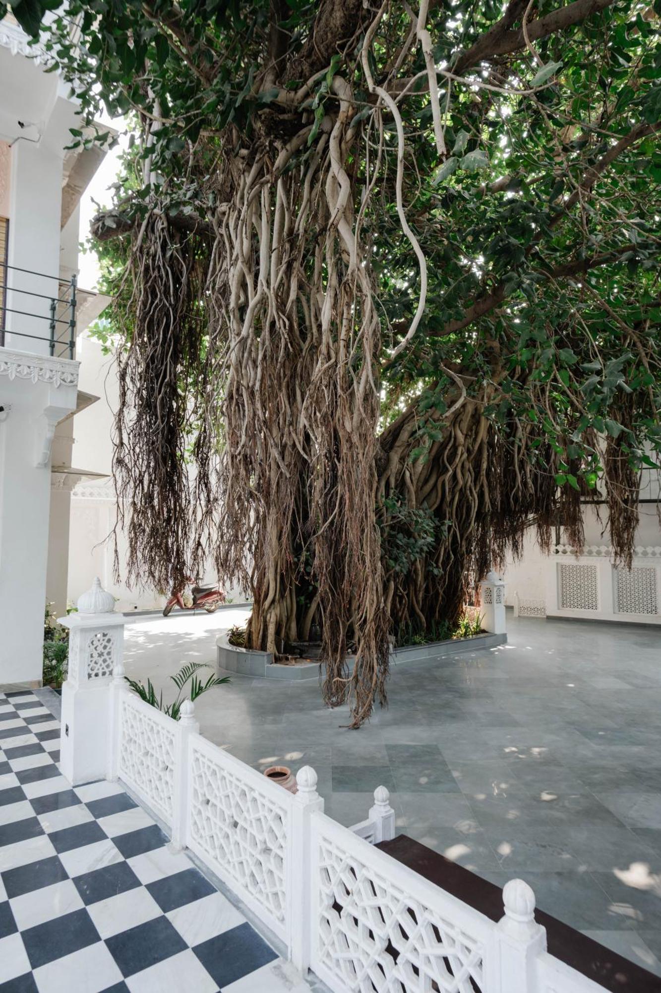 The Experience Resort-Lake Facing Udaipur Bagian luar foto